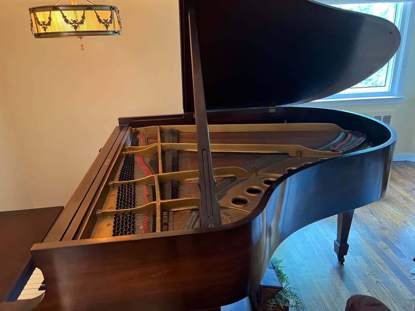 1929 Steinway Model M