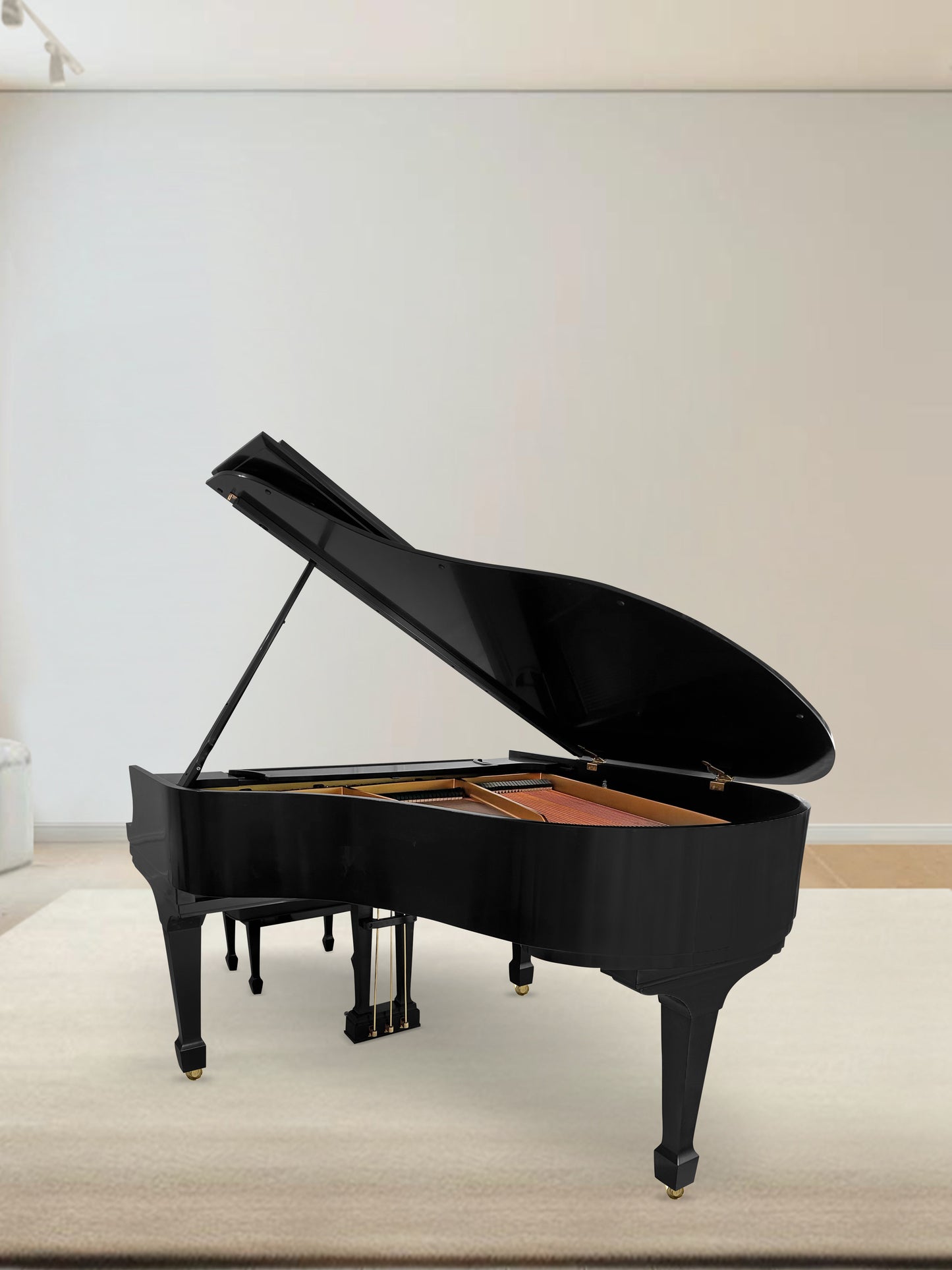 2005 Steinway Model M | Ebony