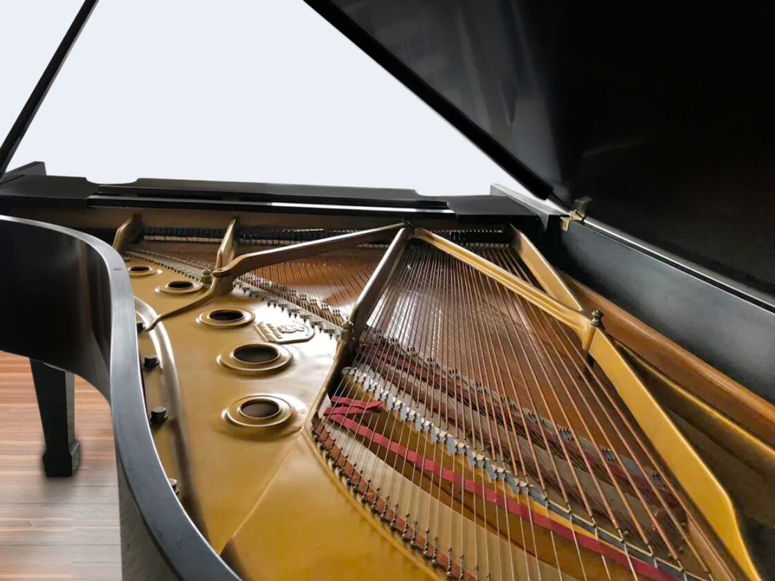 2003 Steinway Grand Piano Model B | Ebony