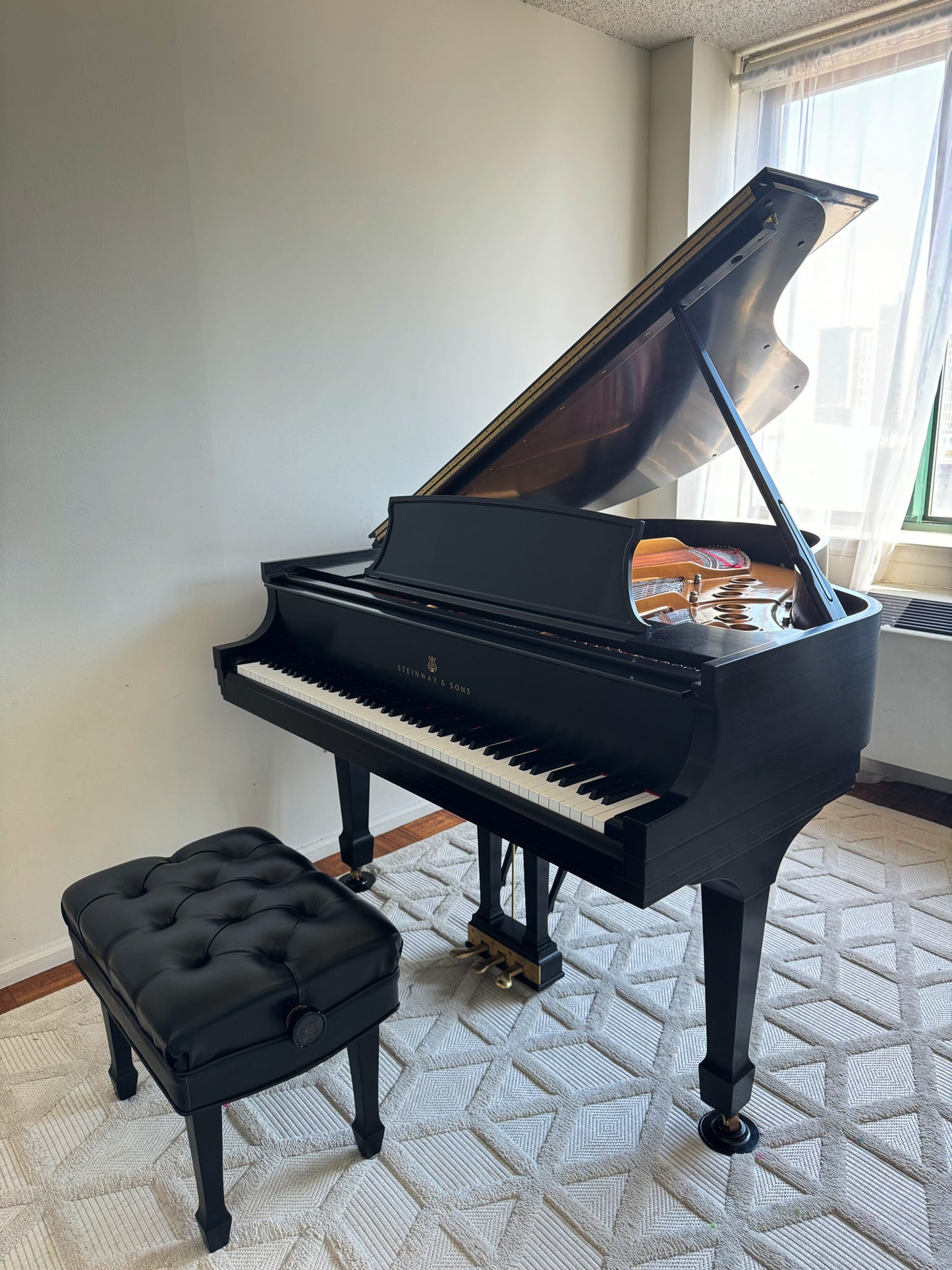 2005 Steinway Model M | 150th Anniversary with Steinway Signature | Ebony