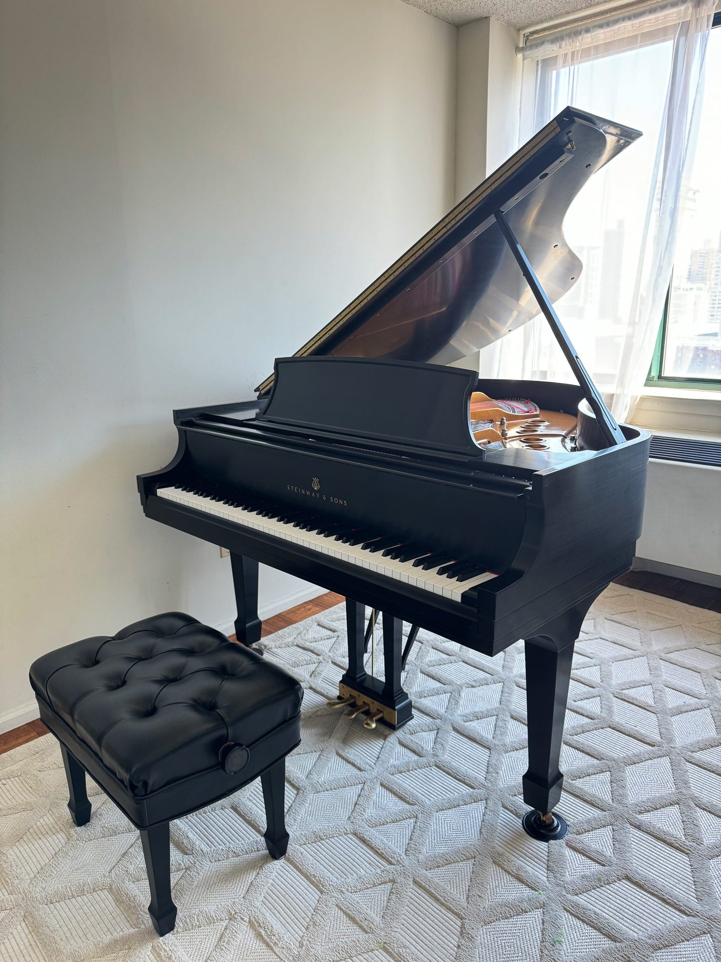 2005 Steinway Model M | 150th Anniversary with Steinway Signature | Ebony