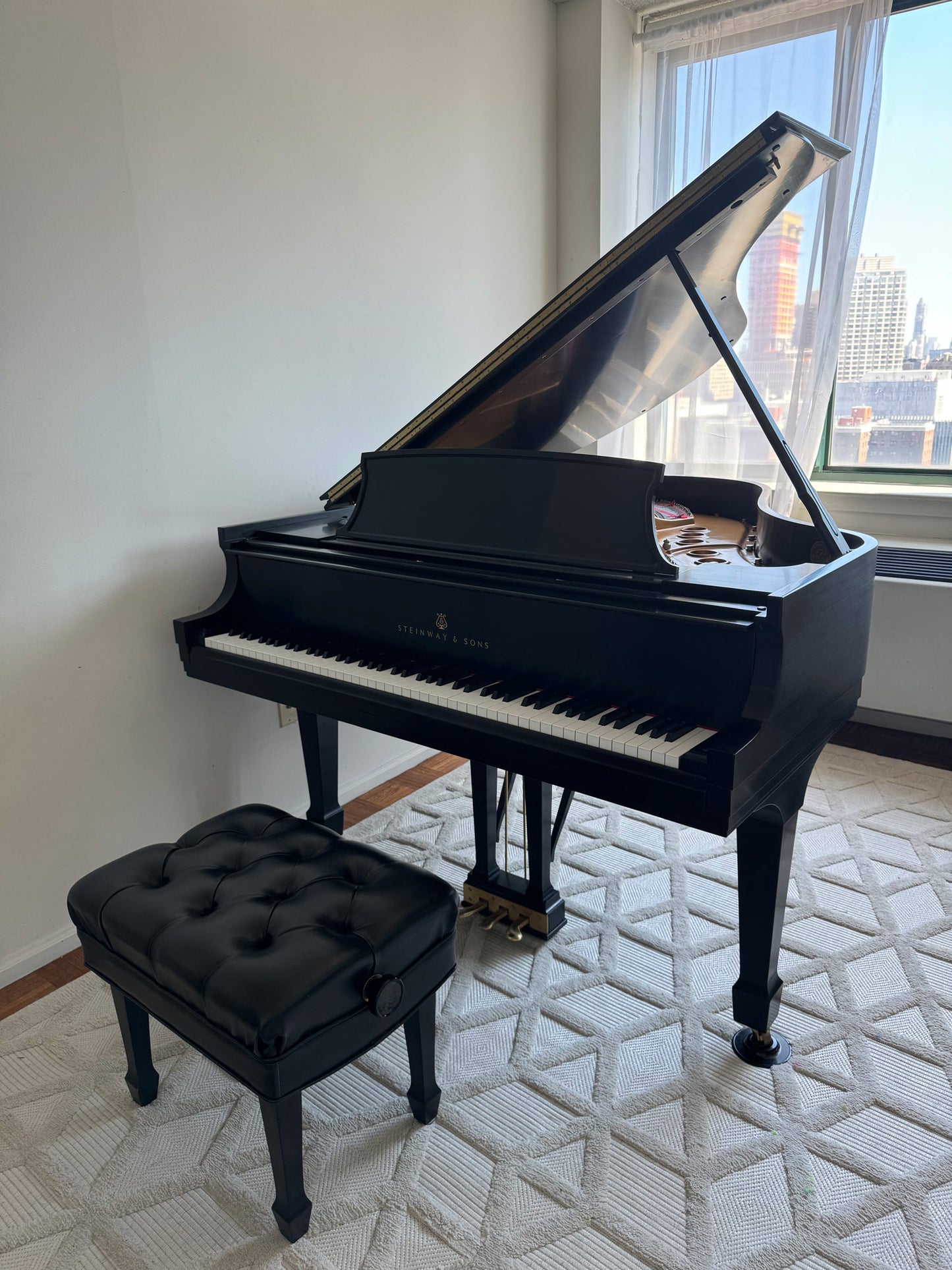 2005 Steinway Model M | 150th Anniversary with Steinway Signature | Ebony