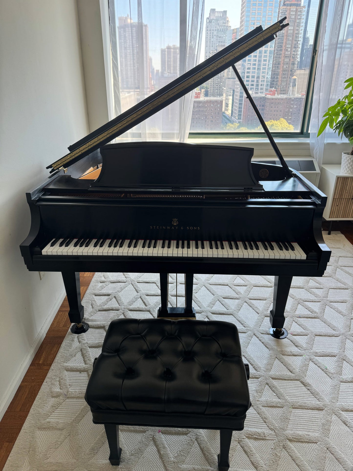 2005 Steinway Model M | 150th Anniversary with Steinway Signature | Ebony