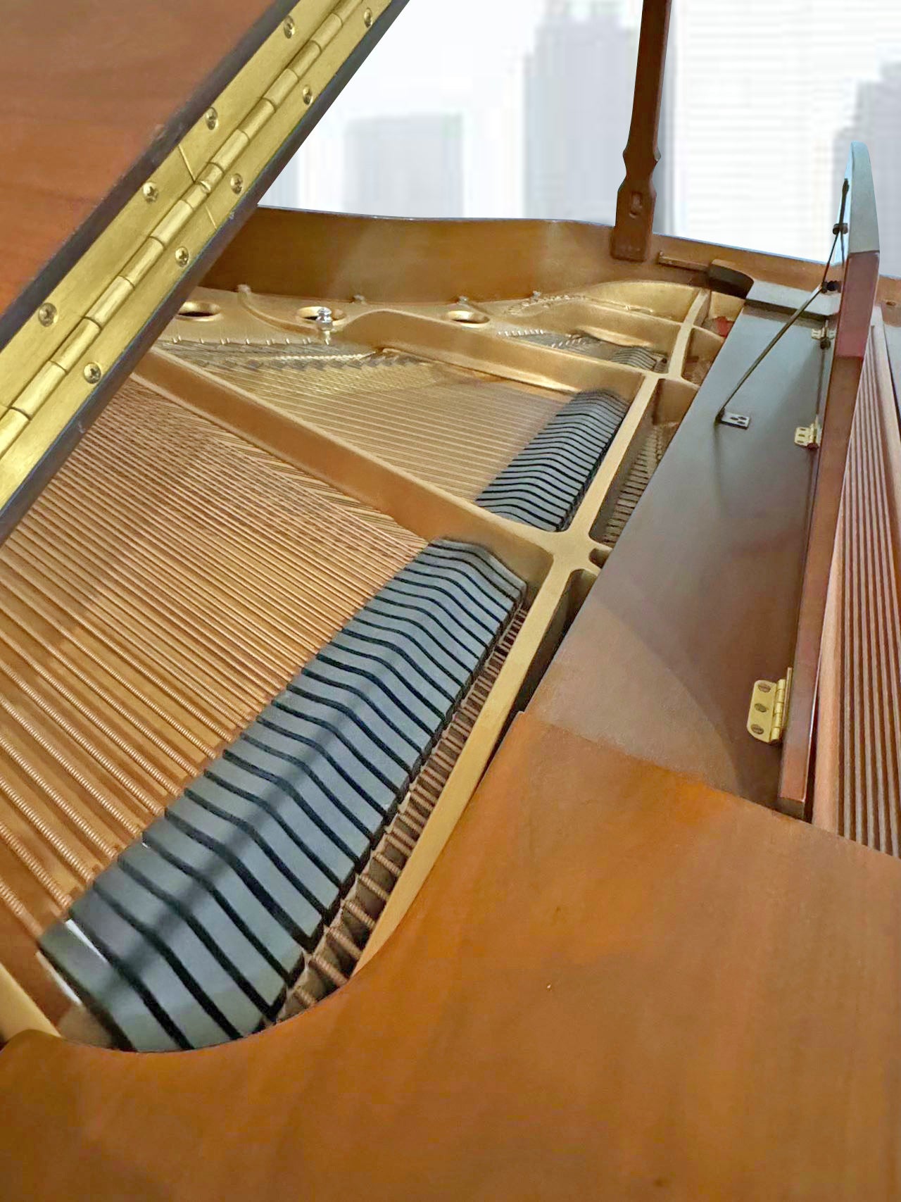 Steinway Model M | Walnut