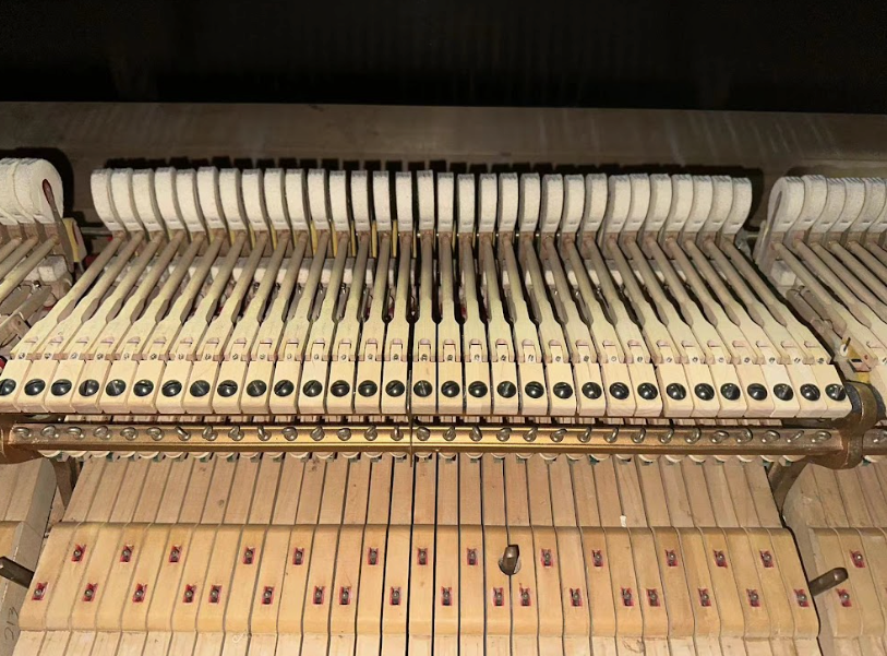 1999 Steinway Model B