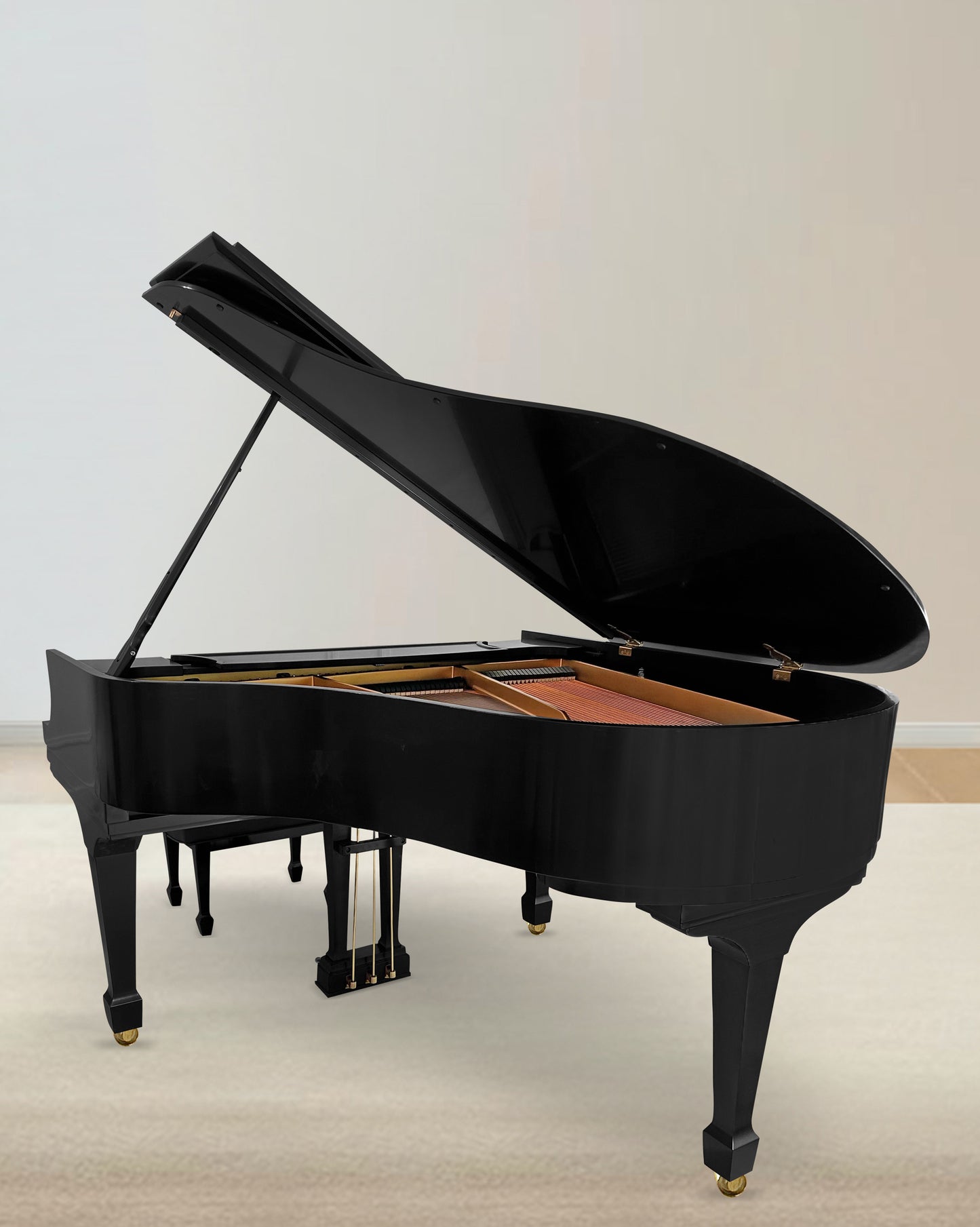 2005 Steinway Model M | Ebony