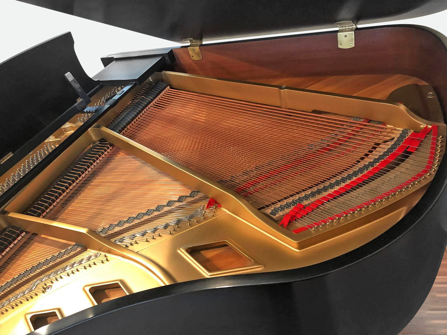 1997 Boston GP-156 Performance Edition II | Ebony