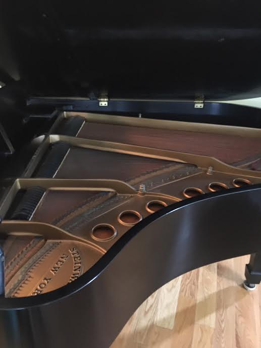 Steinway Model M soundboard
