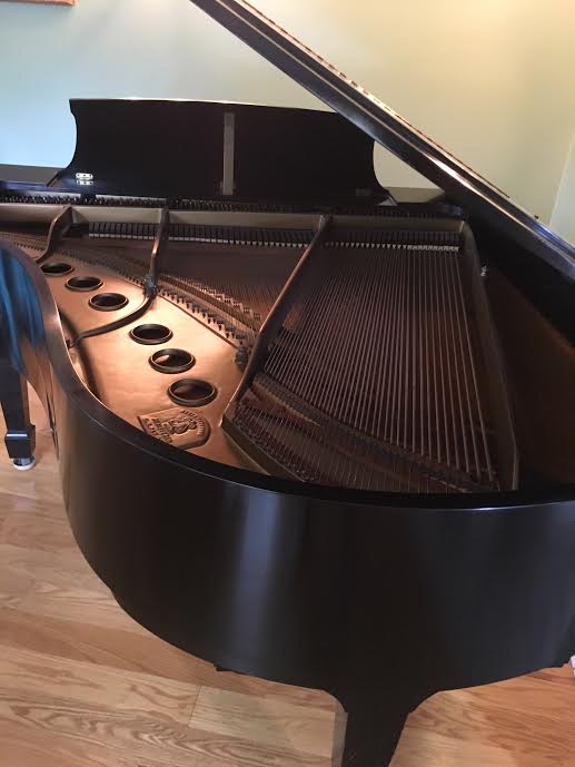 Steinway Model M soundboard