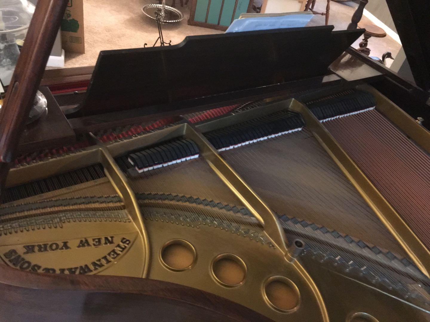 Steinway Model M Grand Piano Restored | Brown