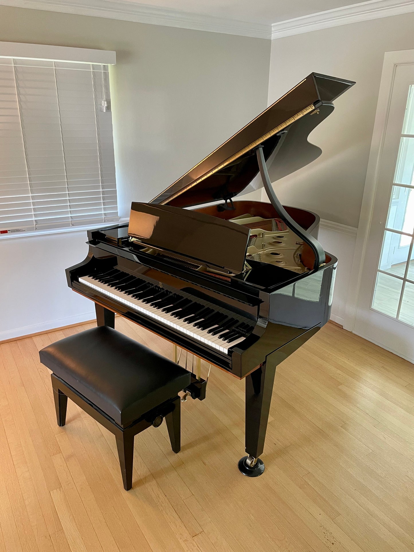 Hamburg Steinway Model A | Dakota Jackson Tricentennial Extremely Limited Edition from 2000