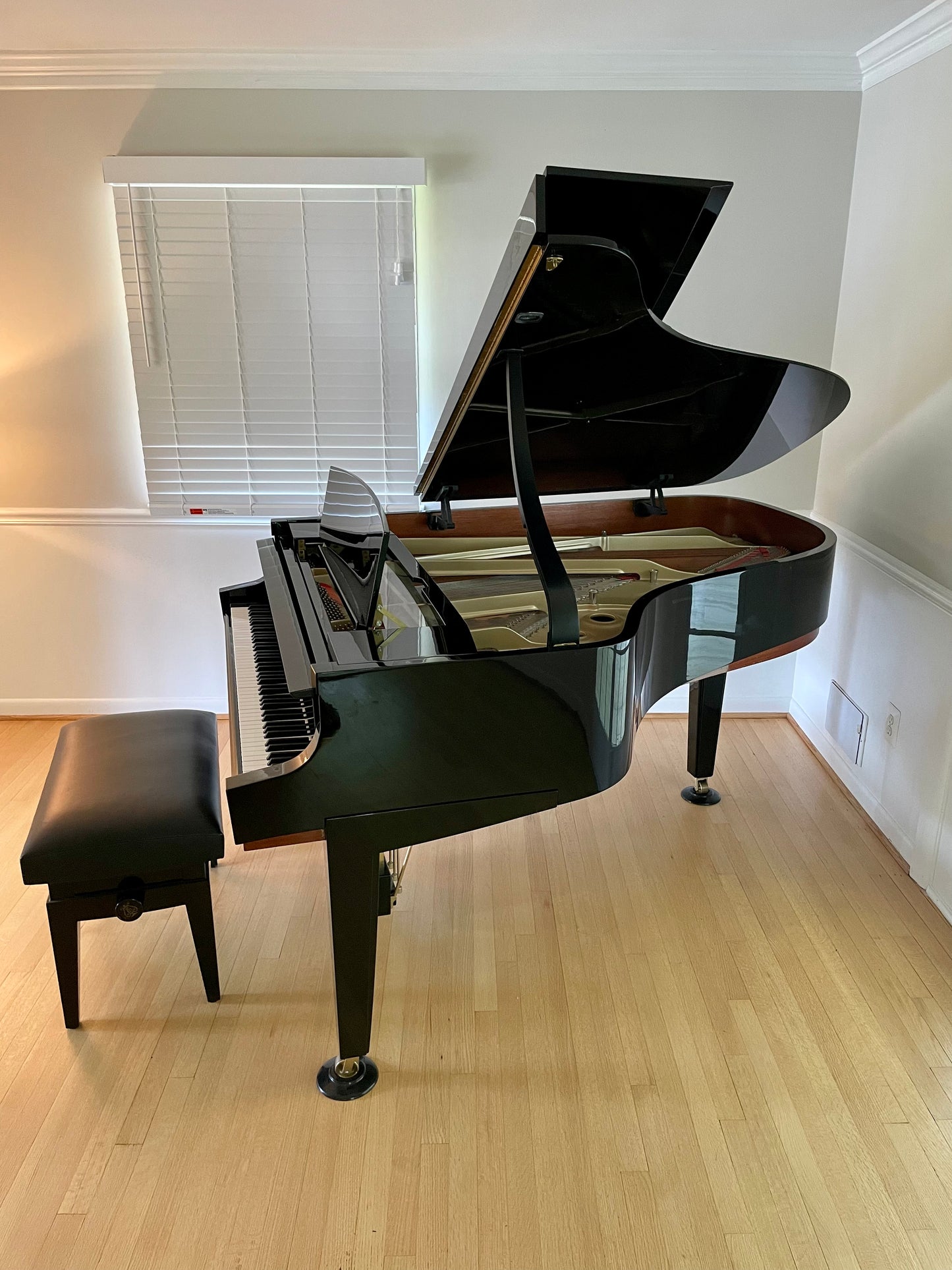 Hamburg Steinway Model A | Dakota Jackson Tricentennial Extremely Limited Edition from 2000