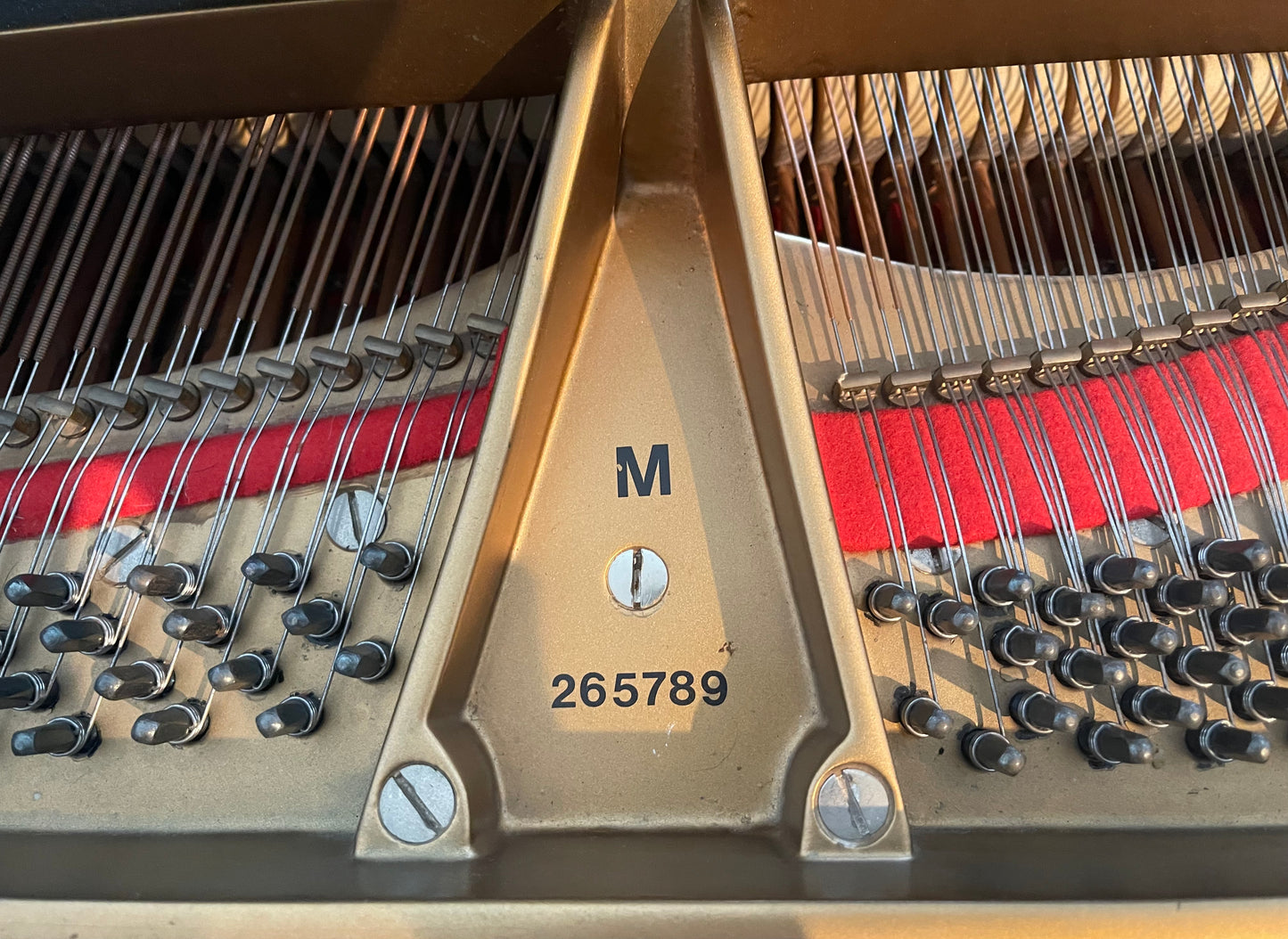 Steinway Grand Piano Restored Model M | Ebony