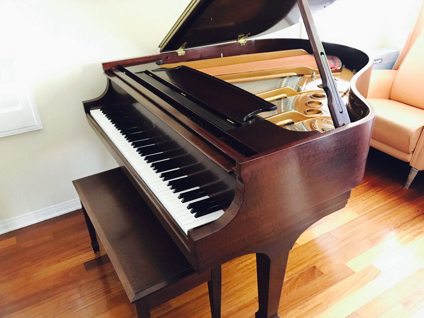 Steinway Model S Piano Crown Jewel African Pommele (Irvine, CA)