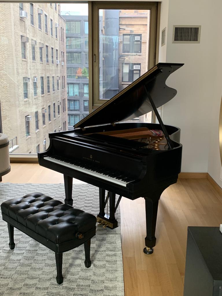 2001 Steinway Model M Grand Piano | Ebony