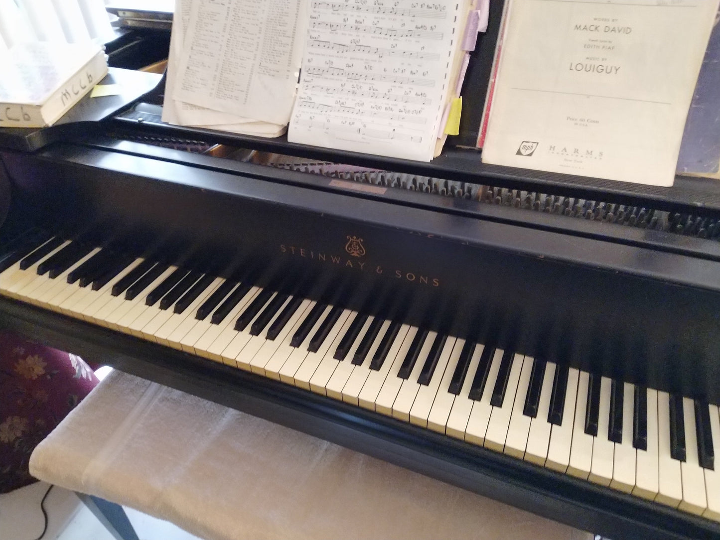 Steinway Model L Grand Piano Restored | Ebony