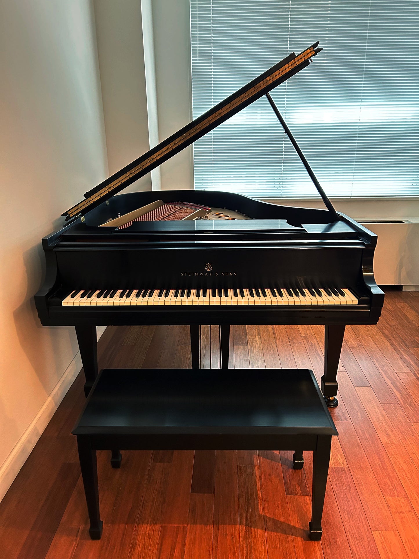 1985 Steinway Grand Piano Model M | Ebony
