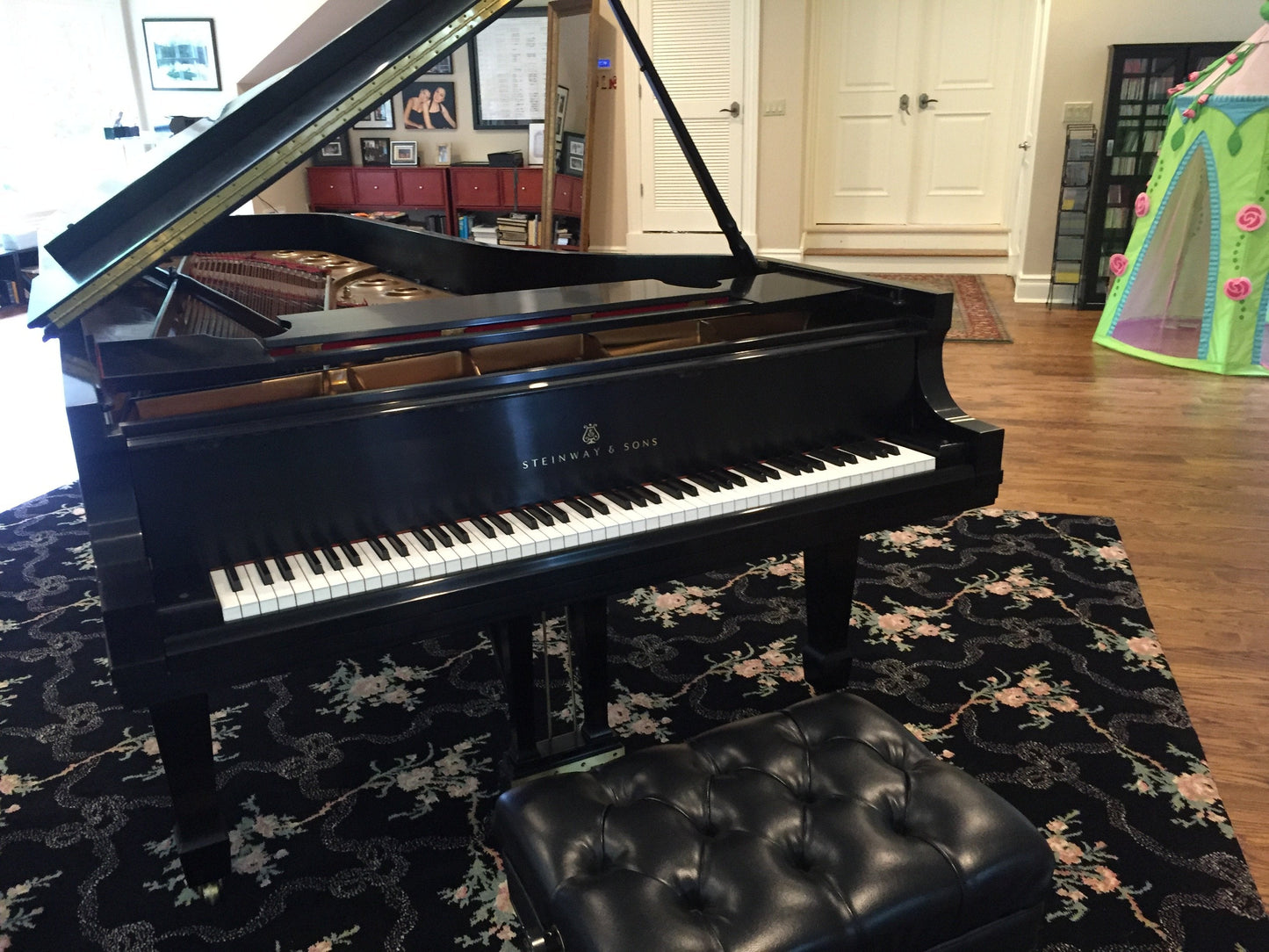 1995 Steinway Model D Concert Grand Piano | Ebony