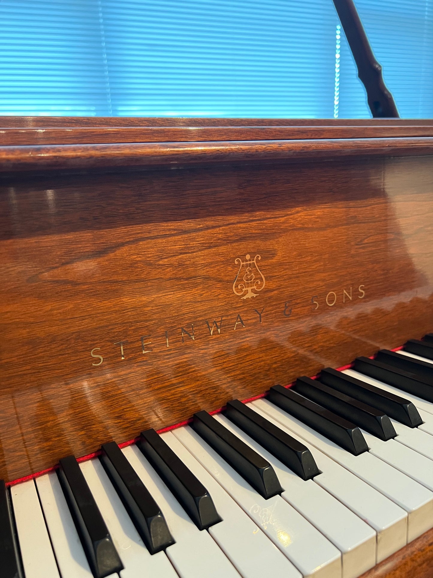 2000 Steinway Grand Piano Model S | Walnut Crown Jewel Collection