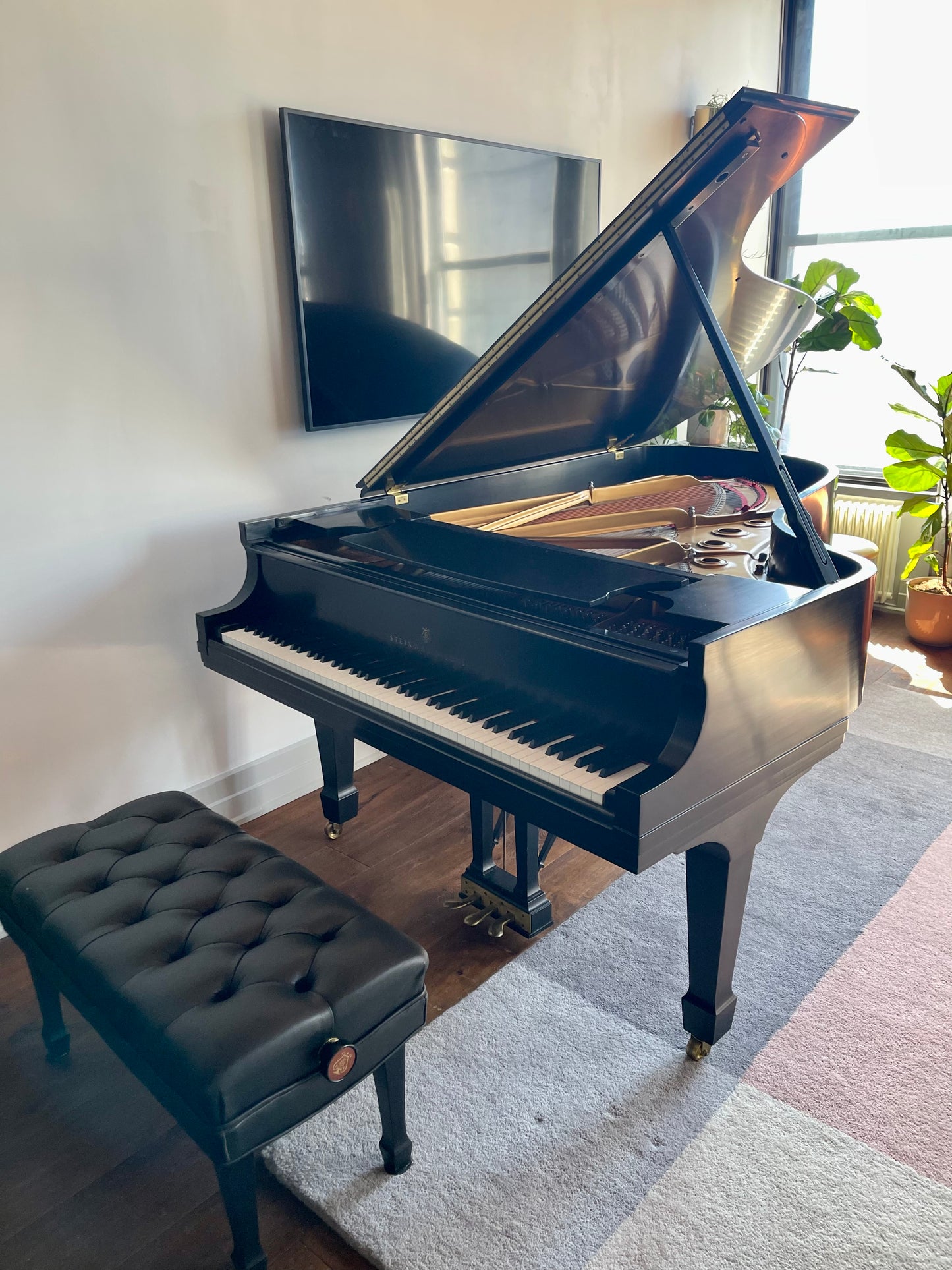 1995 Steinway Model B Grand Piano | Ebony