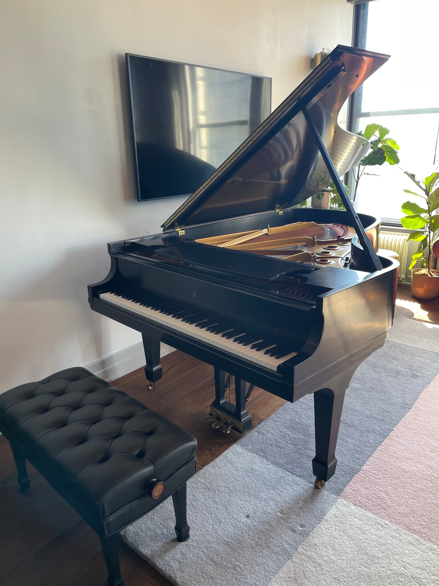 1995 Steinway Model B Grand Piano | Ebony