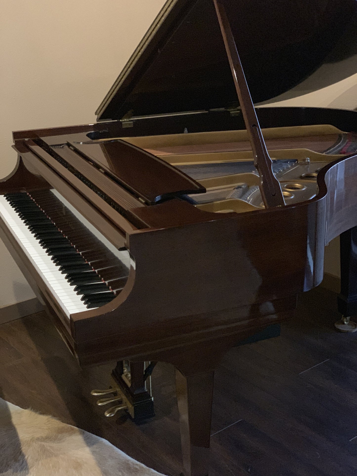 2005 Steinway Model M Grand | Mahogany Crown Jewel | New York