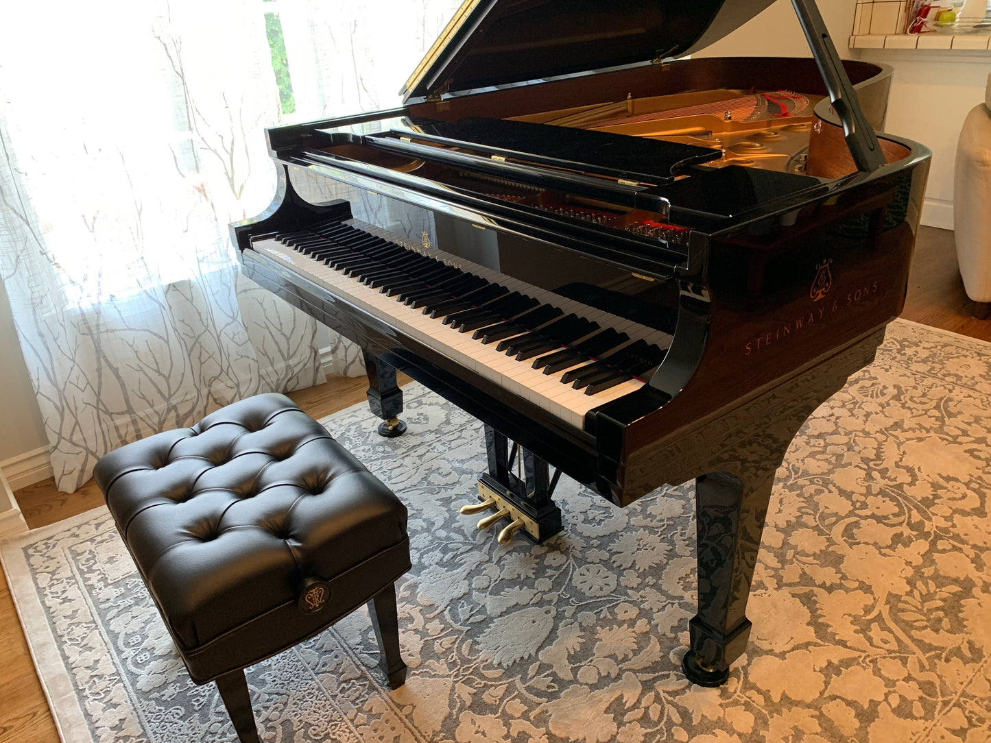 2018 Steinway Model B Spirio Grand Piano | Los Angeles