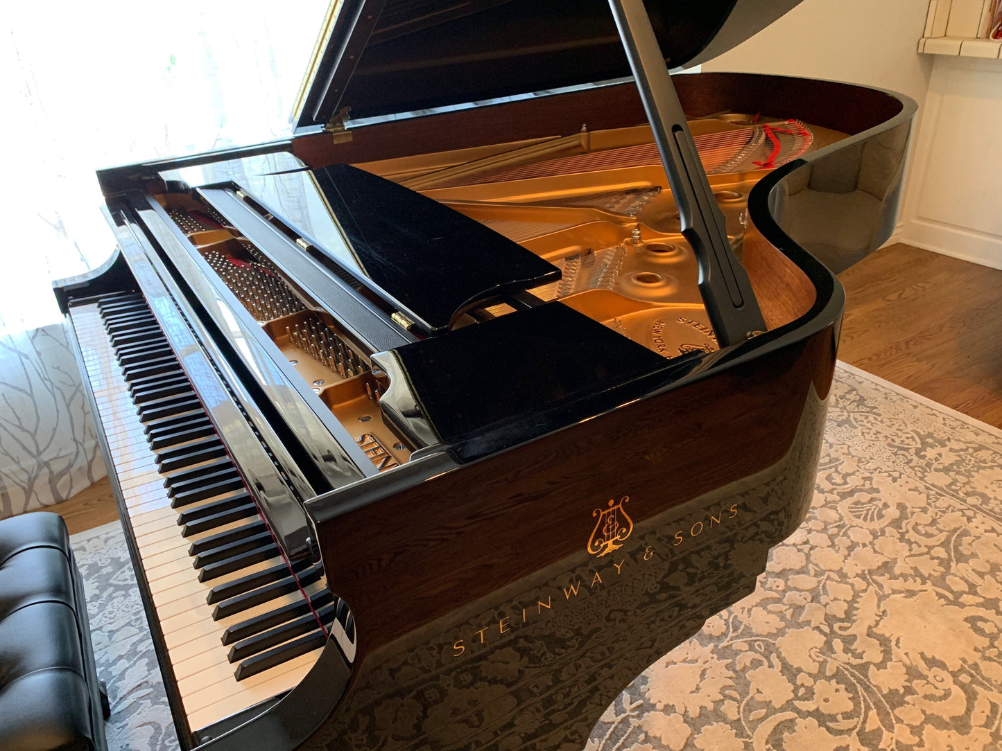 2018 Steinway Model B Spirio Grand Piano | Los Angeles