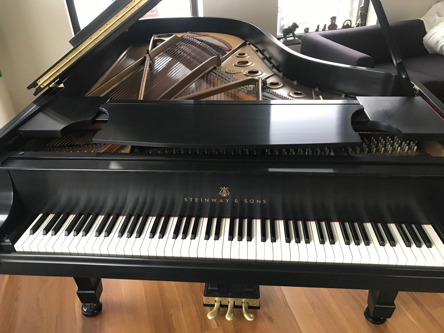 Steinway Model B Grand Piano | Ebony