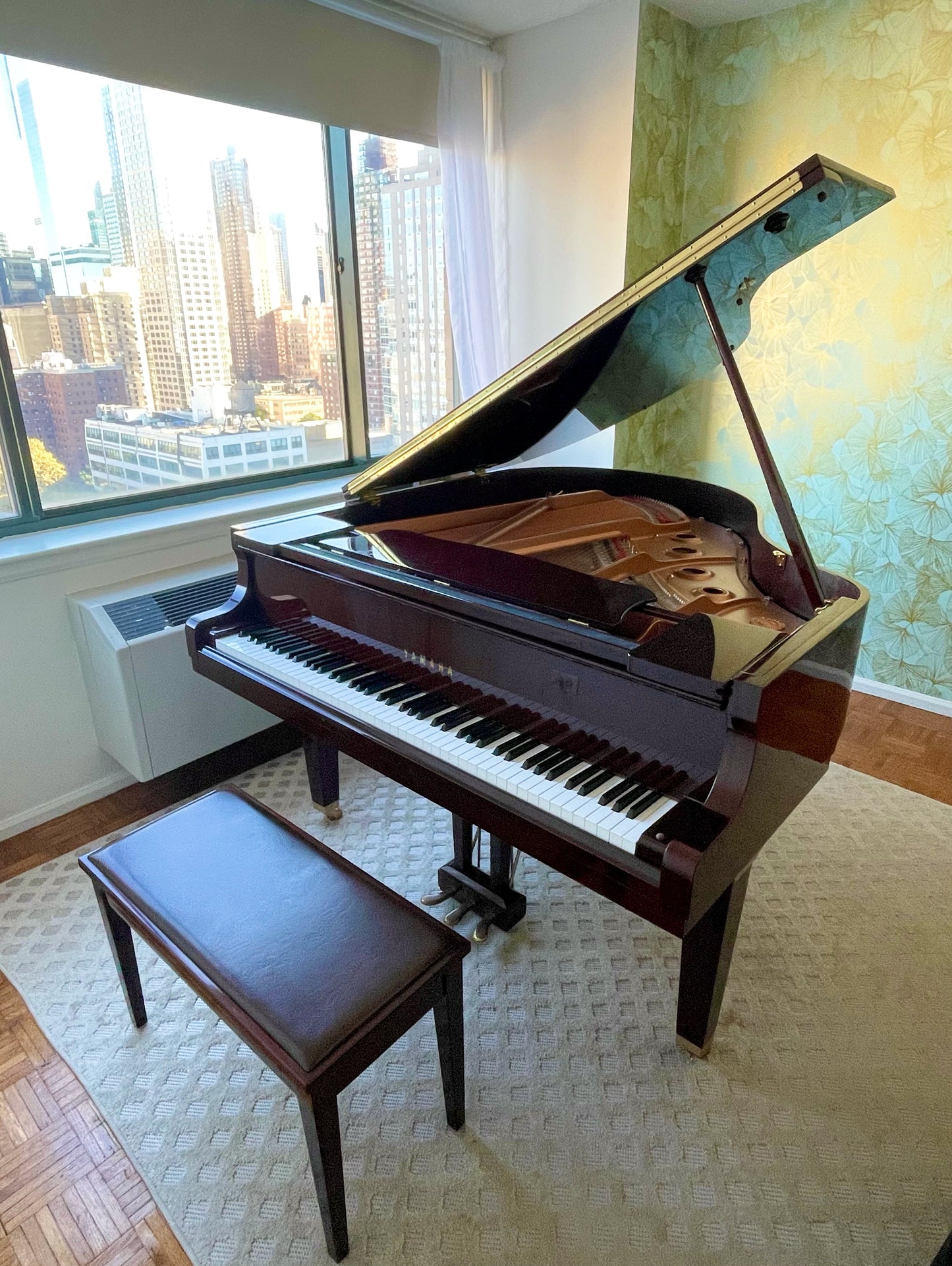 2005 Yamaha Grand Piano GC1 PM | Mahogany