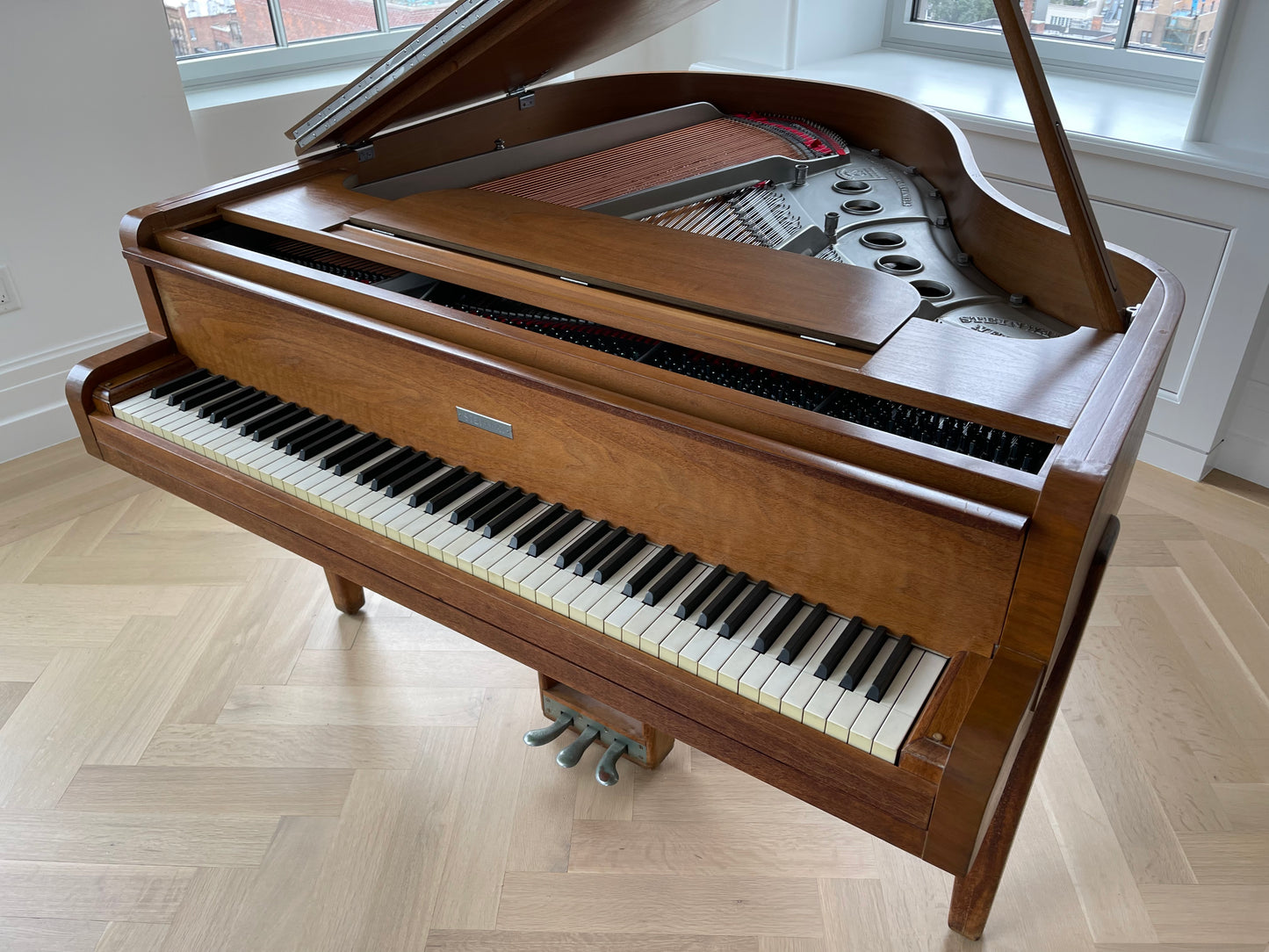 Steinway Model S “Walter Teague” Original “Art Deco” Special Edition