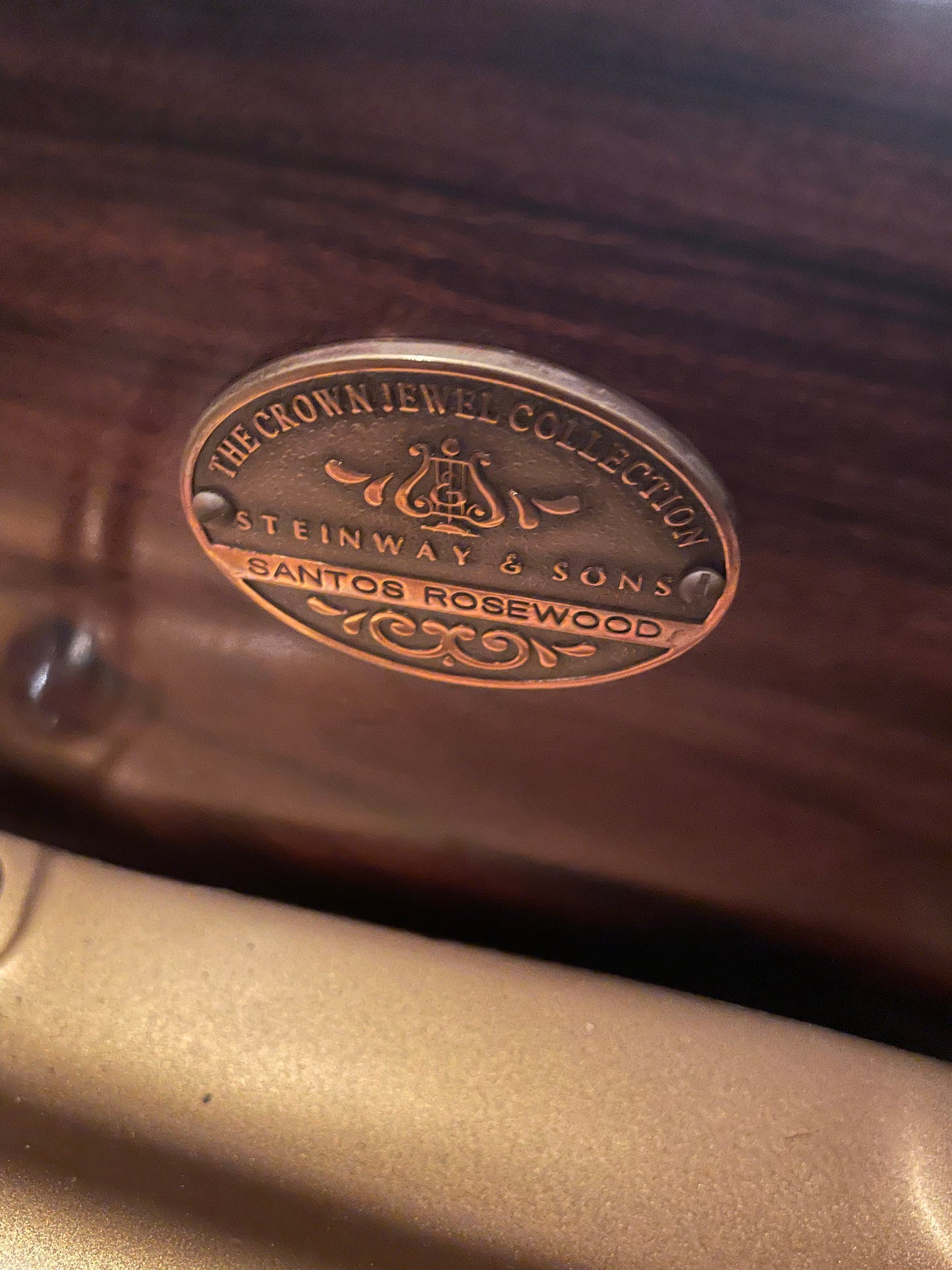 2007 Steinway Grand Piano Model M | Santos Rosewood