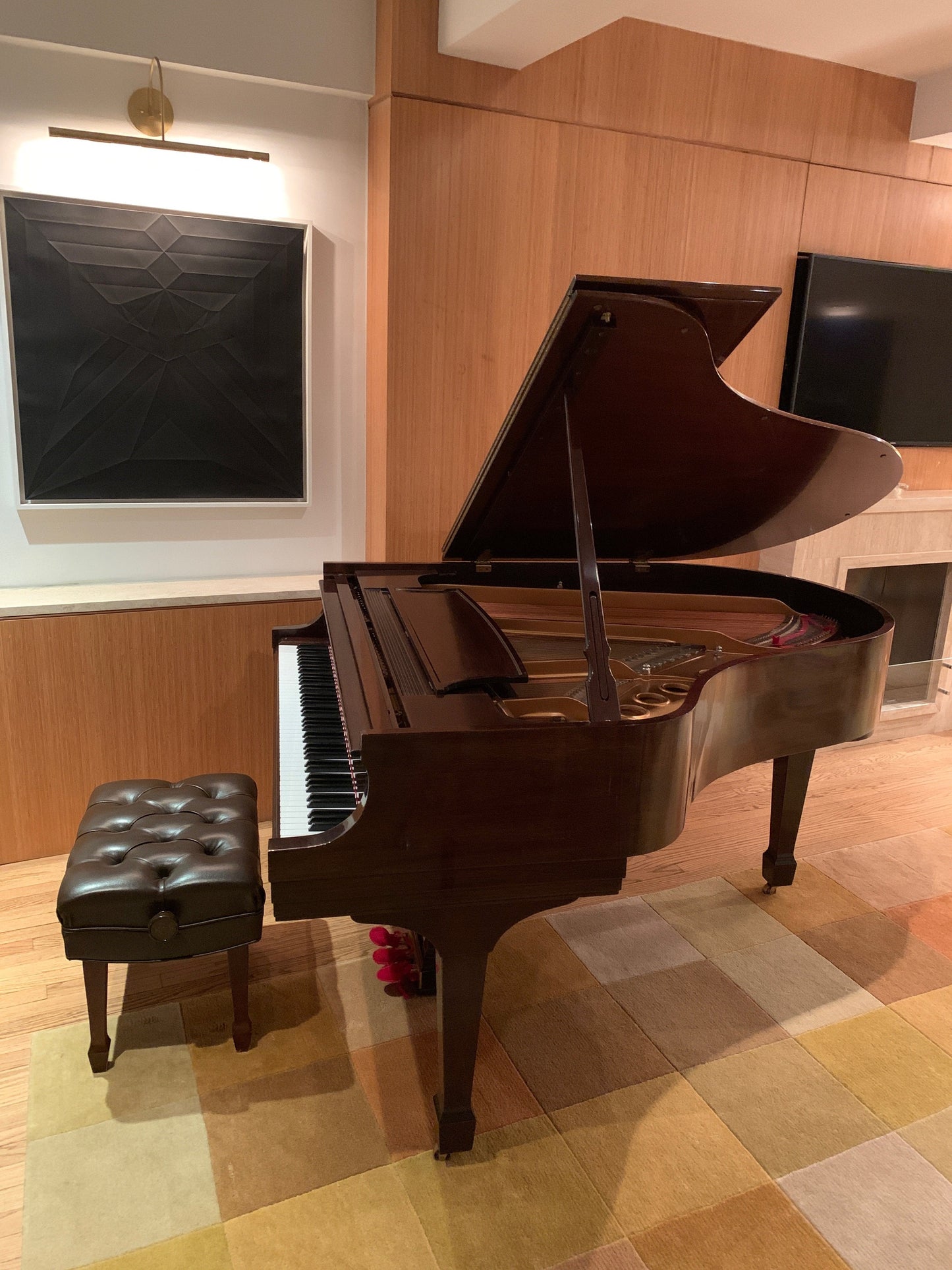 2003 Steinway Model M Piano | Crown Jewel Mahogany