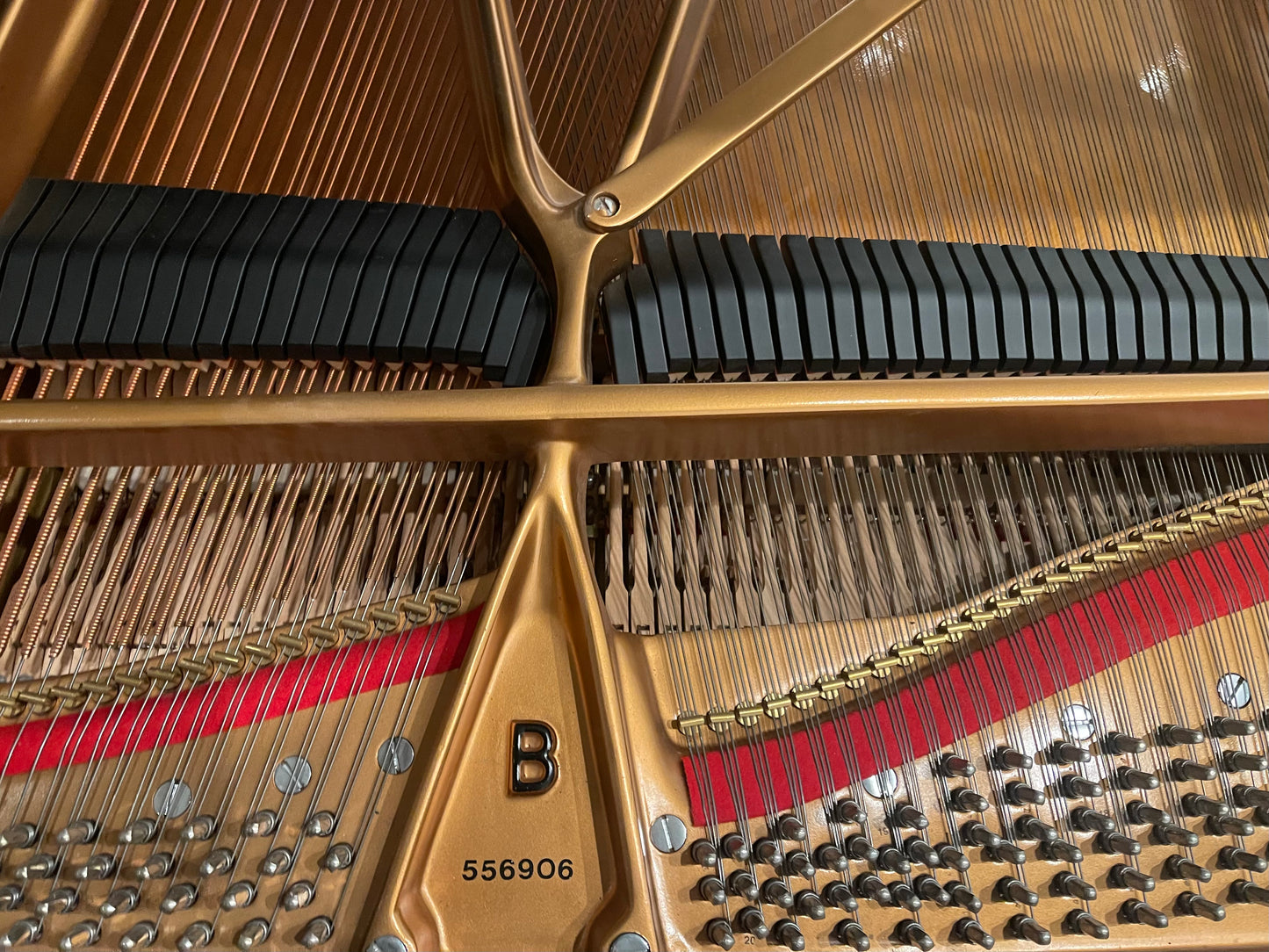 2002 Steinway Grand Piano Model B | High Gloss
