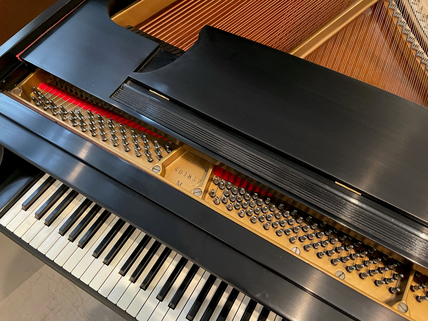 Steinway Model M |  1968 vintage with 2012 complete rebuild