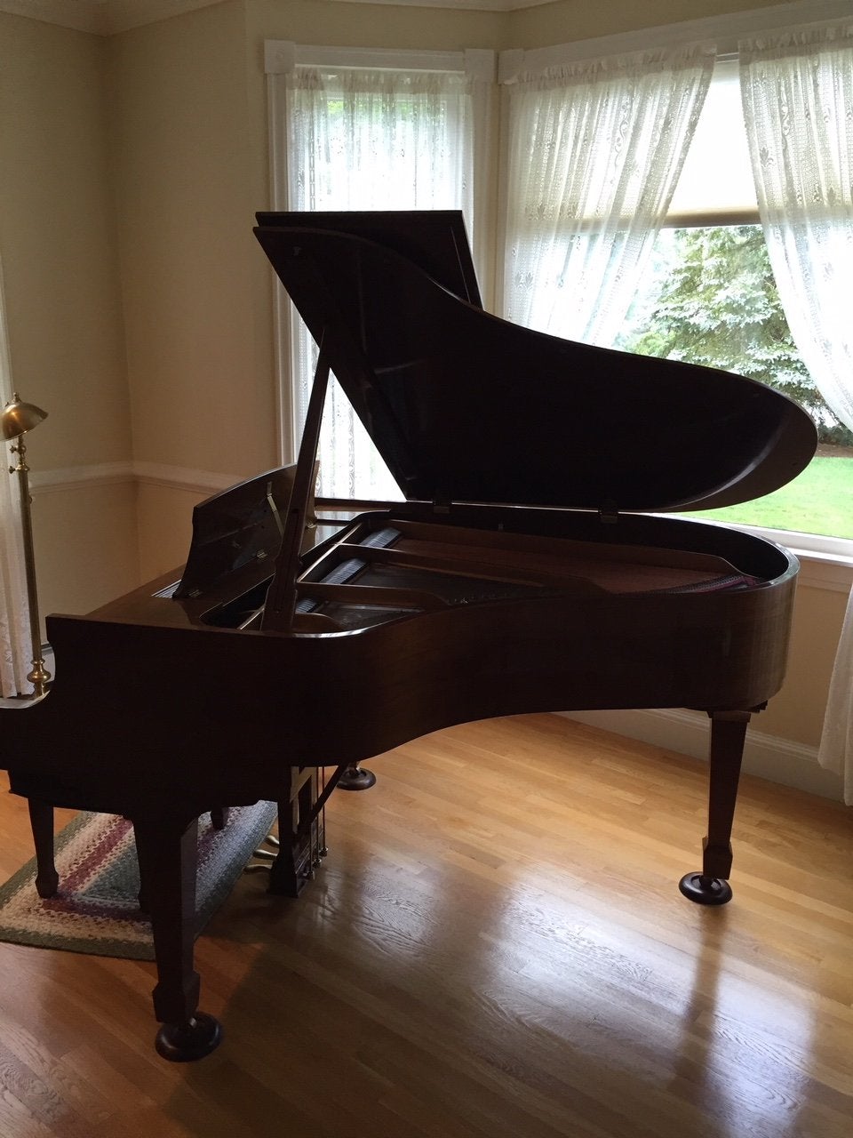 1999 Steinway Model M Grand Piano | Mahogany Crown Jewel