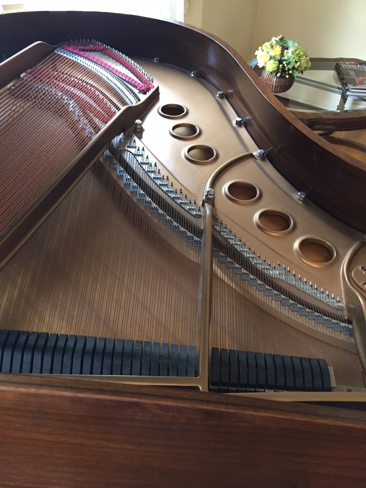 1999 Steinway Model M Grand Piano | Mahogany Crown Jewel