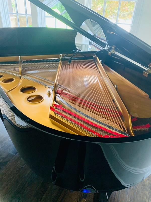 Steinway Model O soundboard