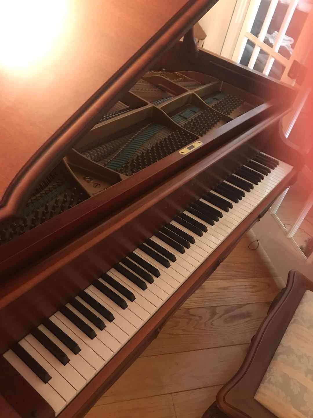 1985 Steinway Louis XV Special Edition Model S Grand Piano | Hamburg
