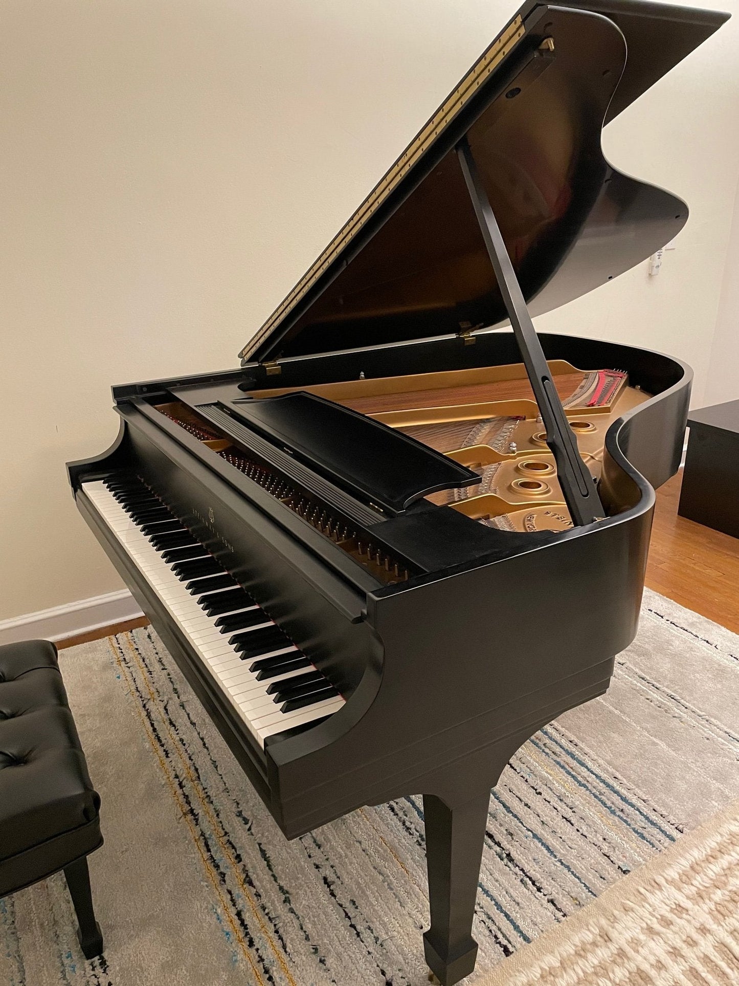 2000 Steinway Grand Piano Model L | Ebony