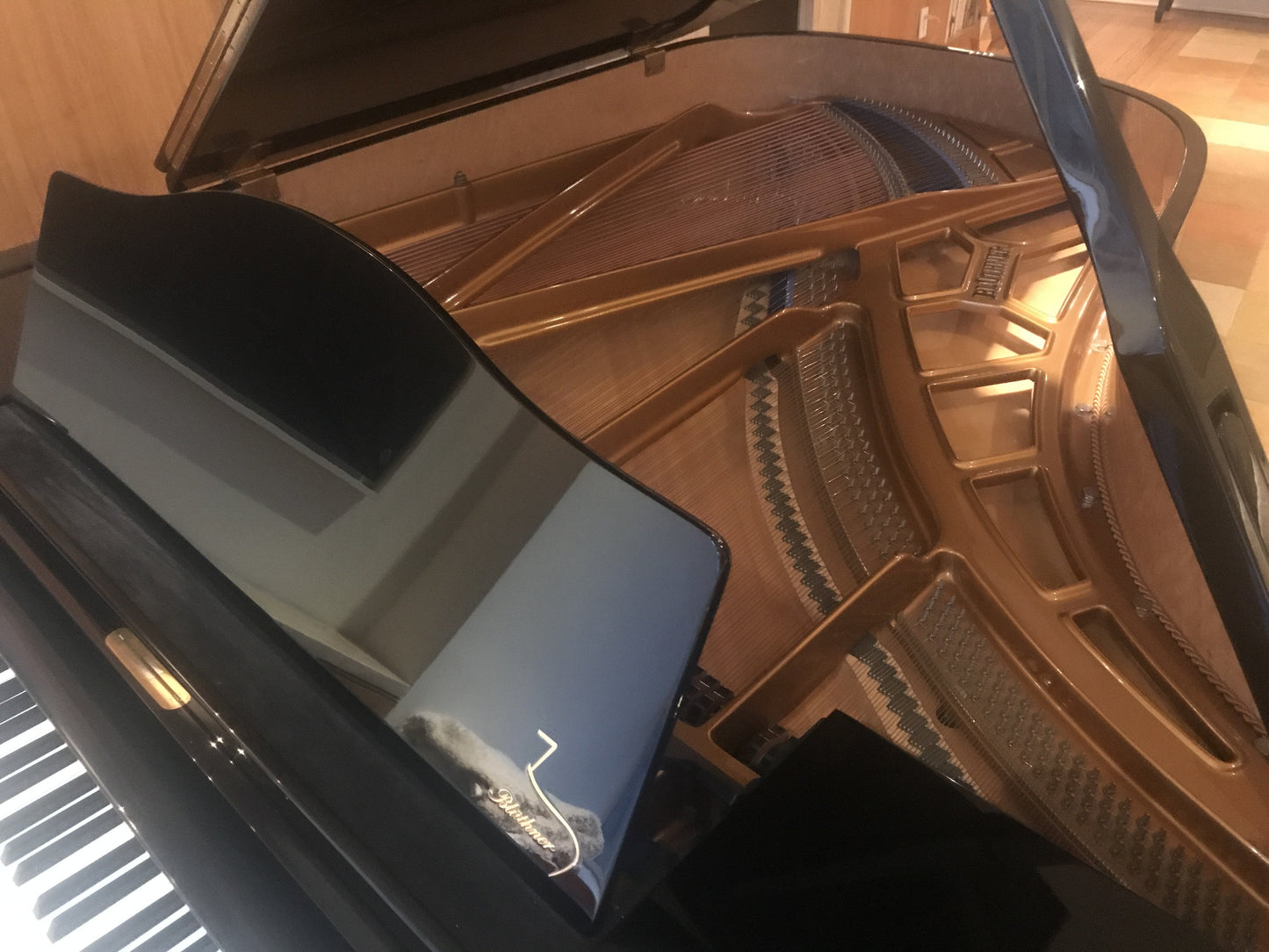 2004 Bluthner Grand Piano Model 6 | High Gloss Ebony