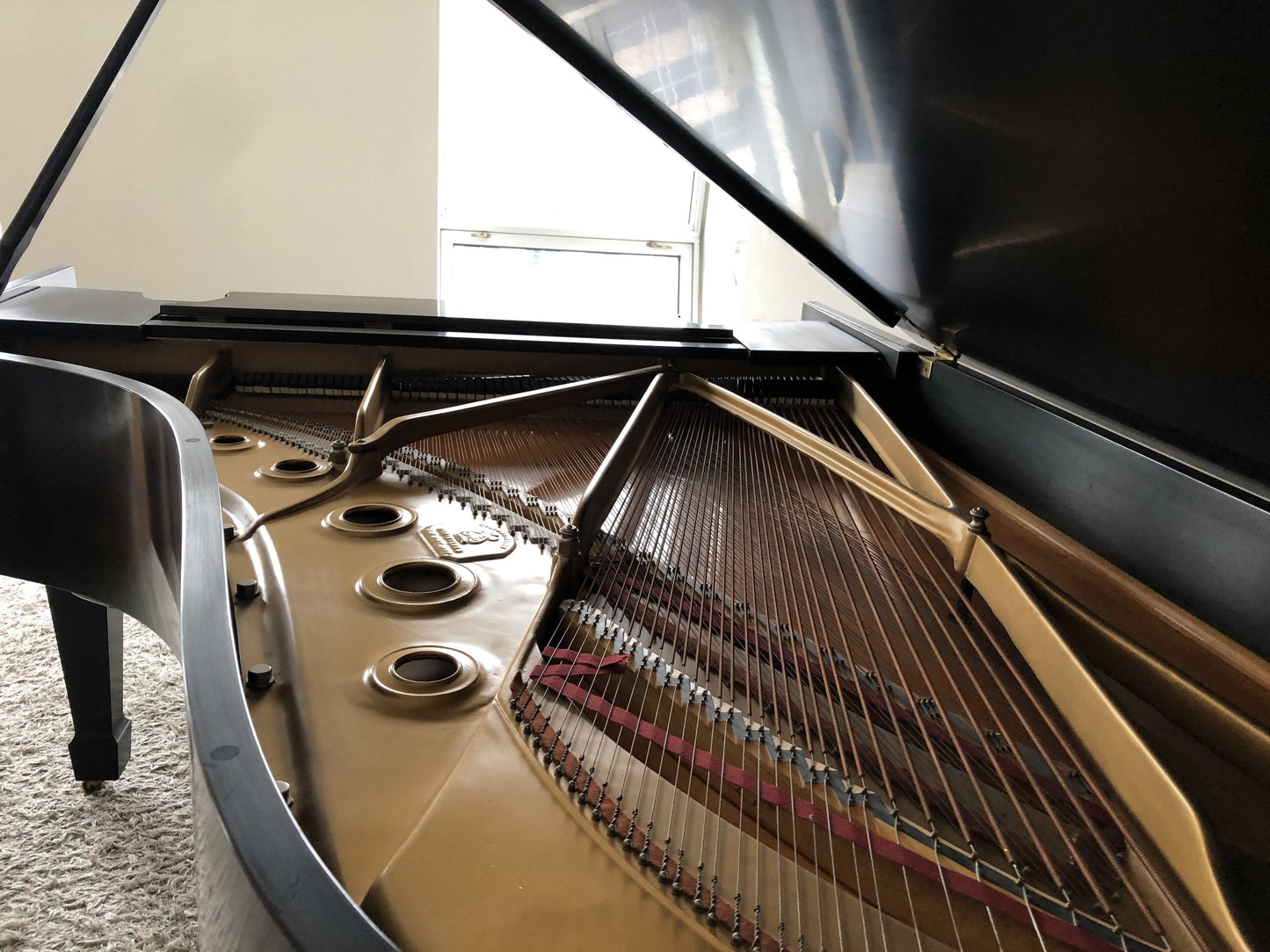 Steinway Model B Grand Piano | New York City