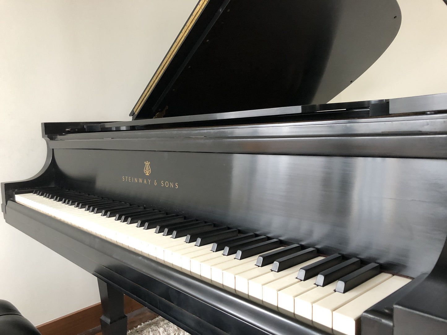 Steinway Model B Grand Piano | New York City