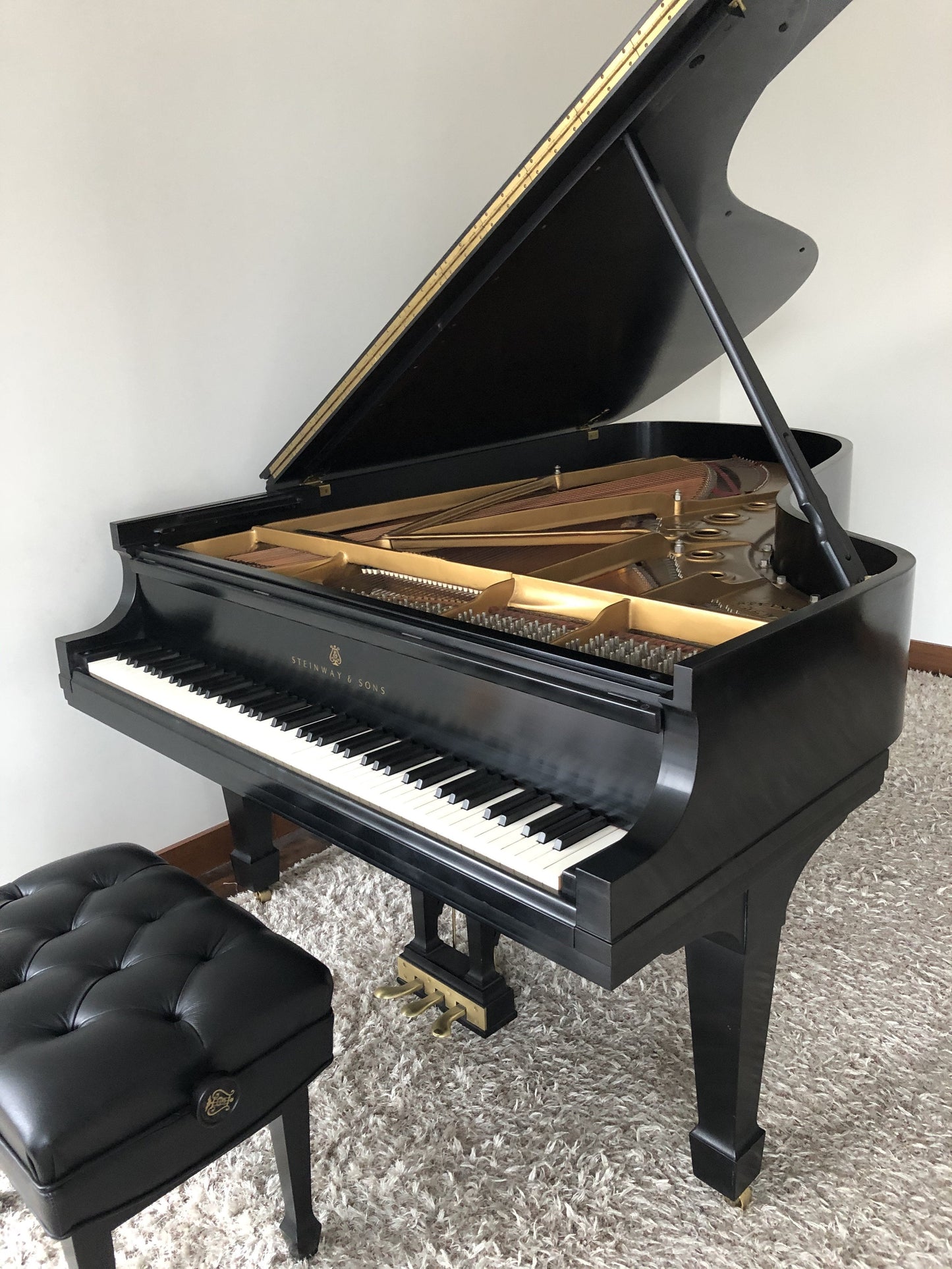 Steinway Model B Grand Piano | New York City