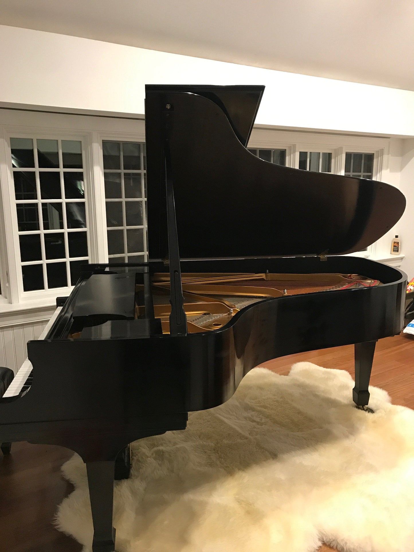 2002 Steinway Model B Grand Piano | Ebony