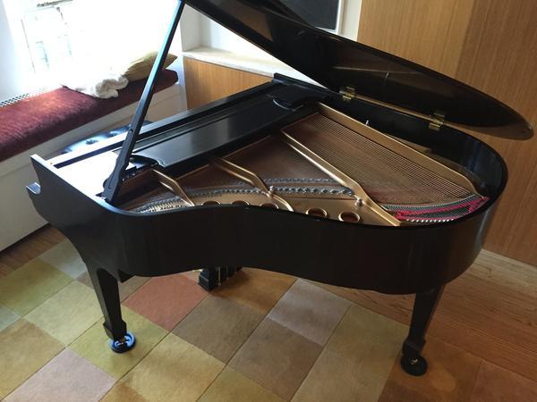 Steinway model Soundboard