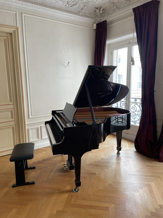 2010 Hamburg Steinway Grand Piano Model M | Ebony