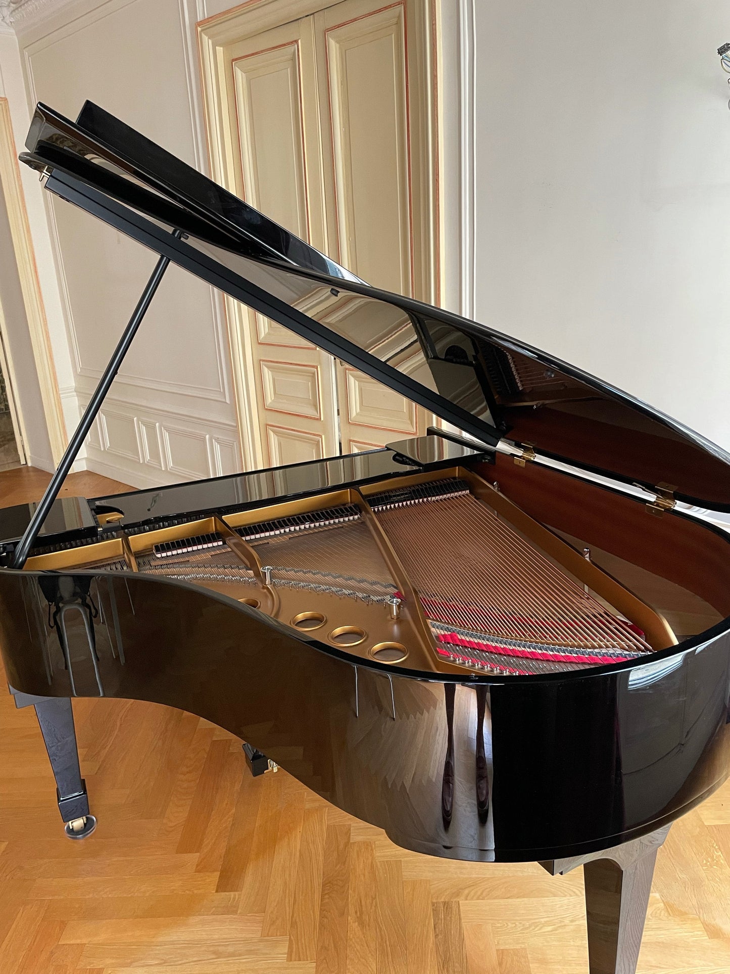 2010 Hamburg Steinway Grand Piano Model M | Ebony