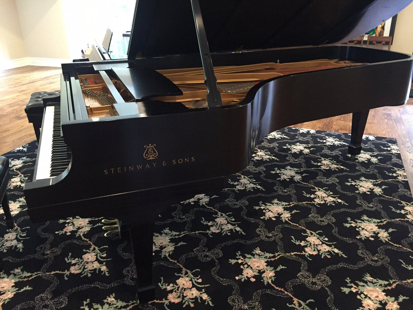 Steinway Model D Concert Grand 2000 - Steinwaygrand