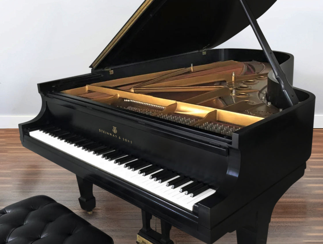2003 Steinway Grand Piano Model B | Ebony